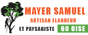 Mayer Samuel, elagueur 60